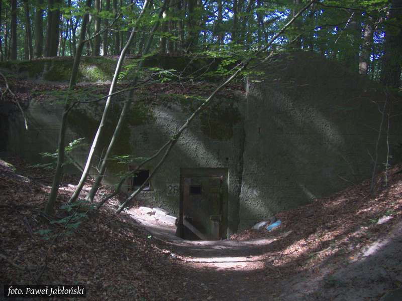 Bunkry na klifowych wzgórzach