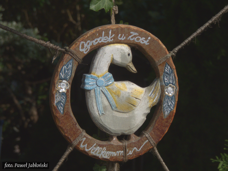 Element wystroju ogródka