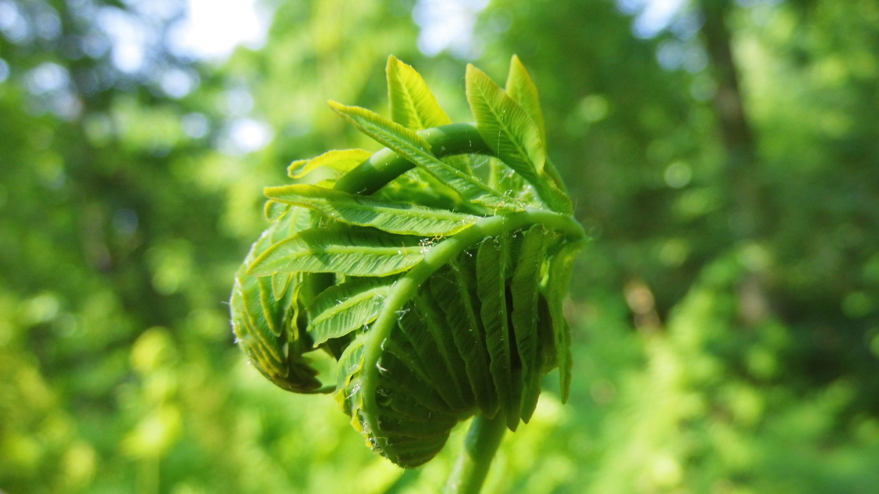 Featured image of post Rozwijamy stronę